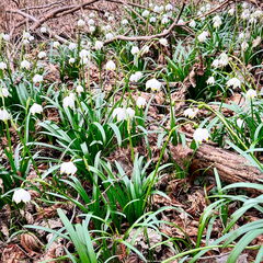 23-03-13 13-47-12 4859